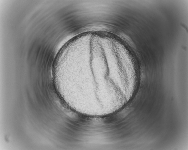 X0000102291226200808151945