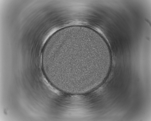 X0000102291227200808151945