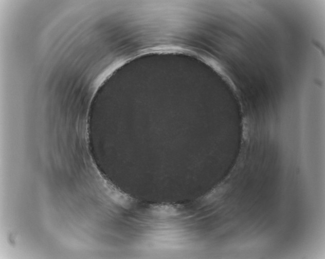 X0000102291229200808151945