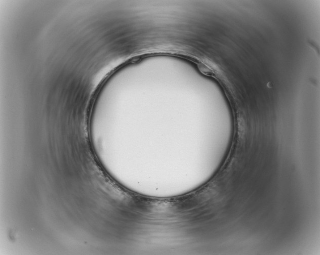 X0000102291230200808151945