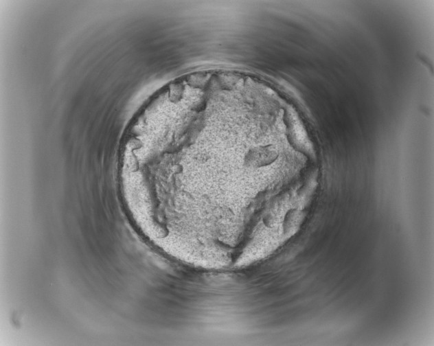 X0000102291231200808151945