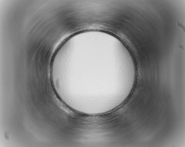 X0000102291232200808151945