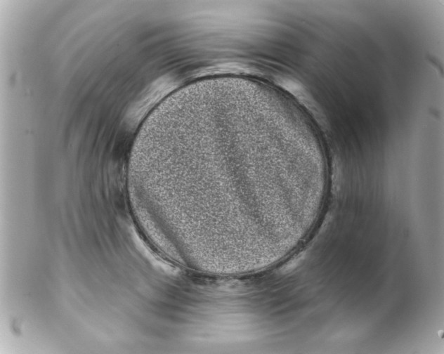 X0000102291233200808151945