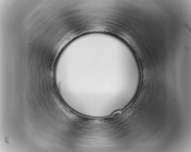 X0000102291234200808151945