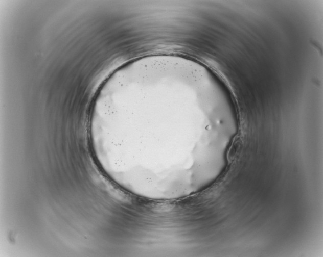 X0000102291235200808151945