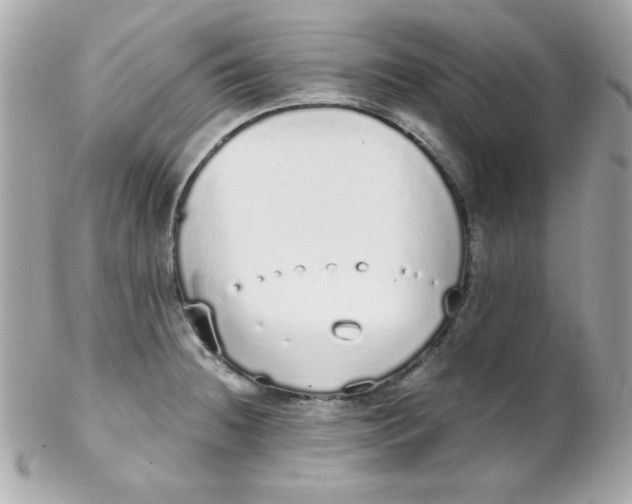 X0000102291236200808151945