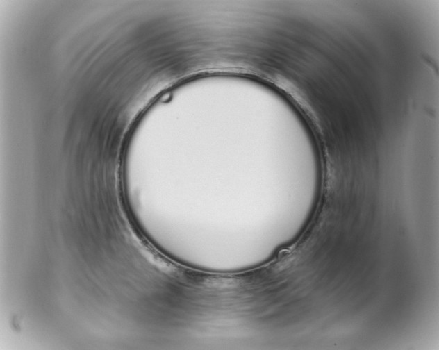 X0000102291237200808151945