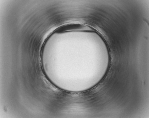 X0000102291240200808151945