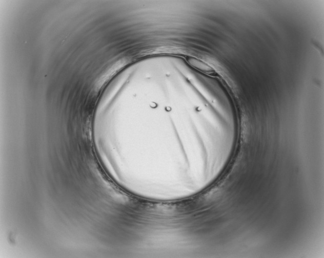 X0000102291241200808151945