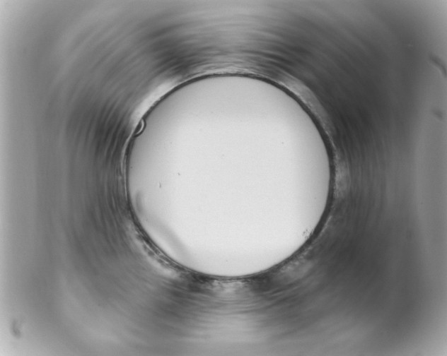 X0000102291242200808151945