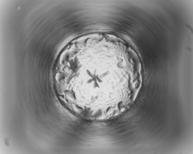 X0000102291243200808151945