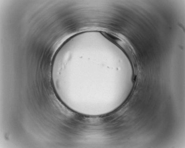 X0000102291244200808151945