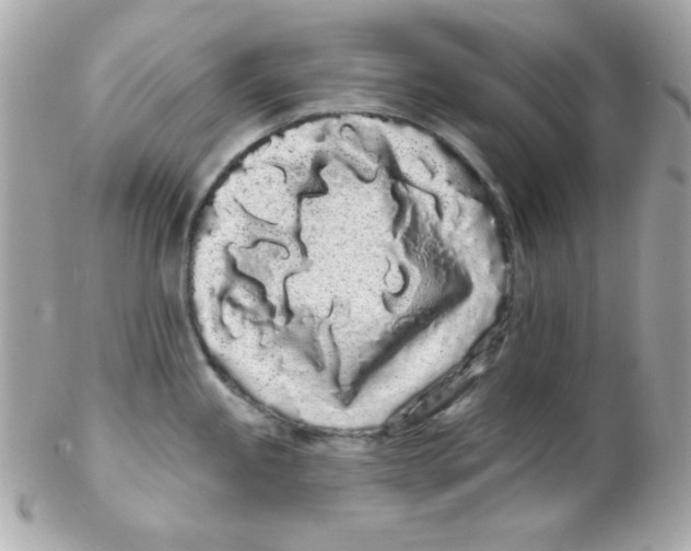 X0000102291245200808151945