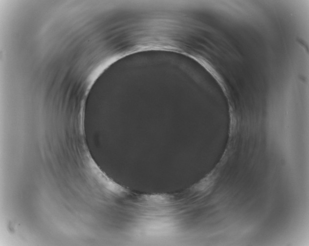 X0000102291246200808151945