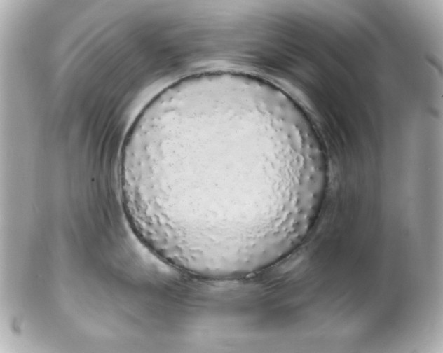 X0000102291247200808151945