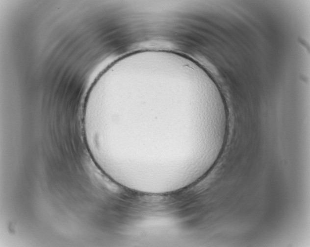 X0000102291248200808151945