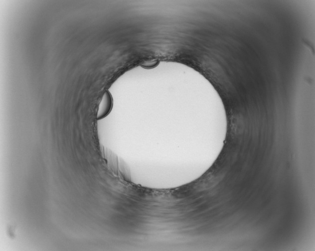 X0000102291249200808151944