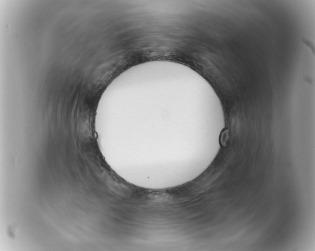 X0000102291250200808151944