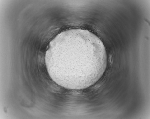 X0000102291251200808151944