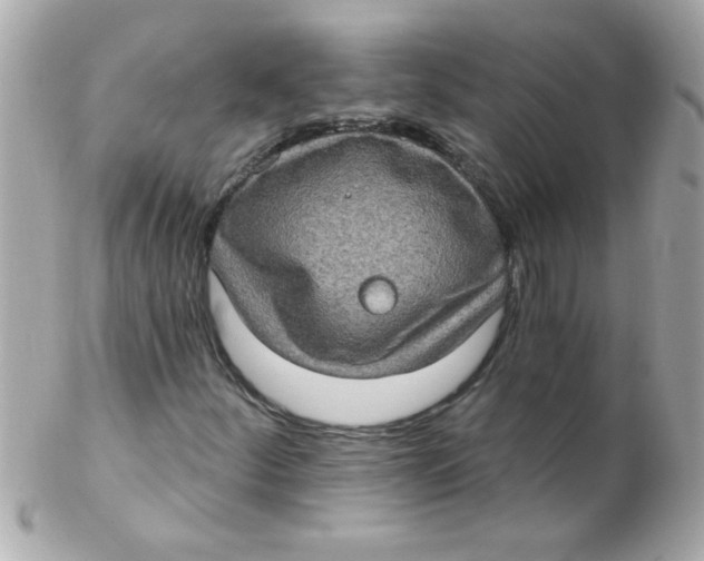 X0000102291252200808151944