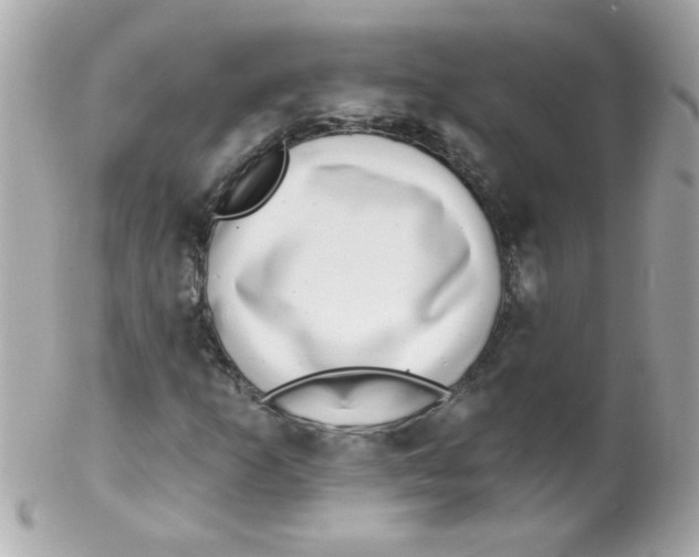 X0000102291253200808151944