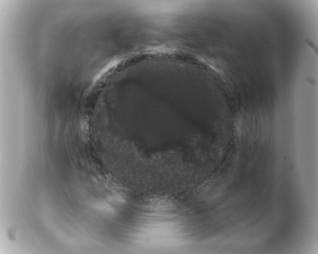 X0000102291254200808151944