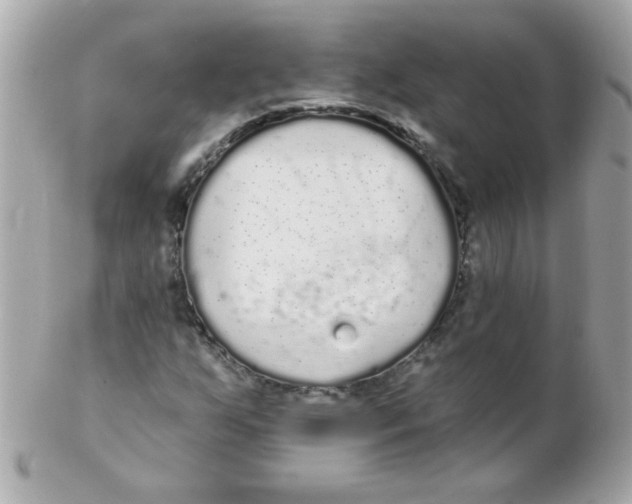 X0000102291255200808151944