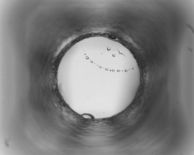 X0000102291256200808151944