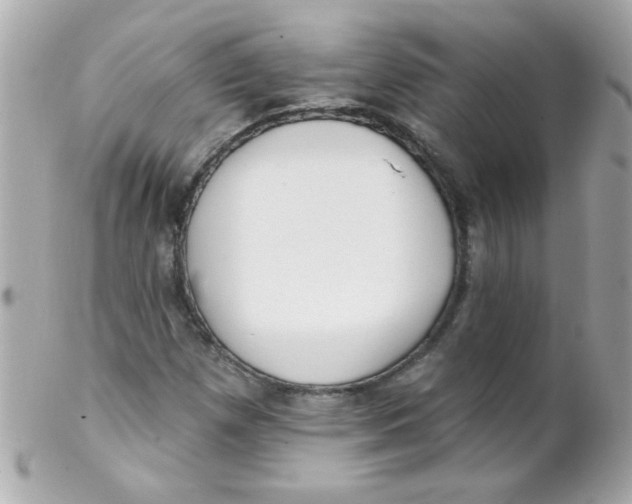 X0000102291257200808151944