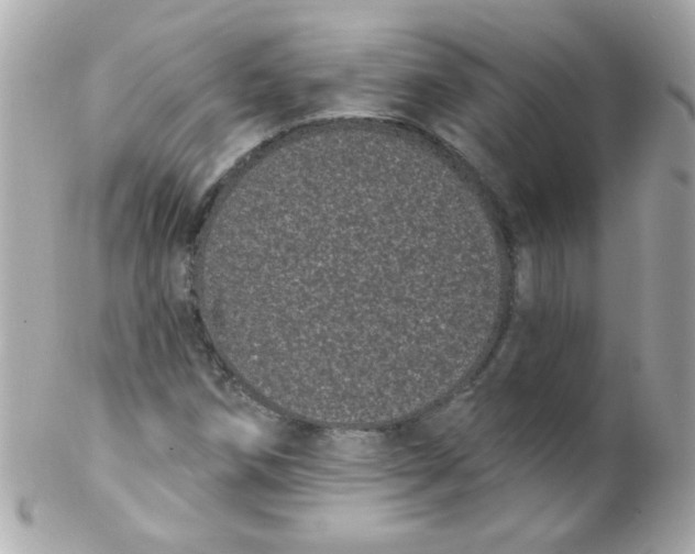 X0000102291258200808151944