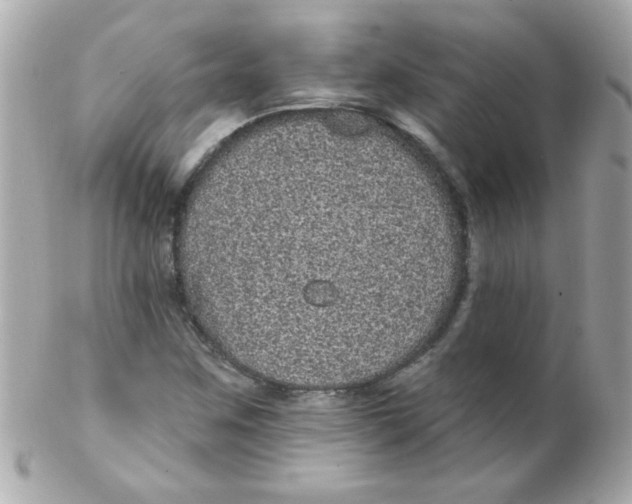 X0000102291259200808151944