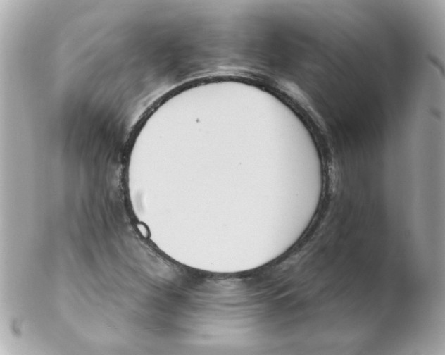 X0000102291260200808151944