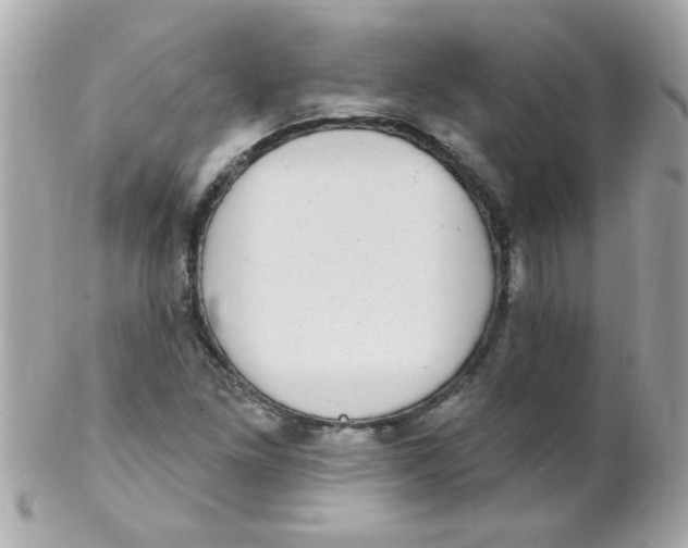 X0000102291261200808151944