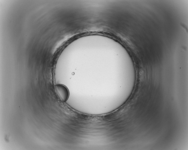 X0000102291262200808151944