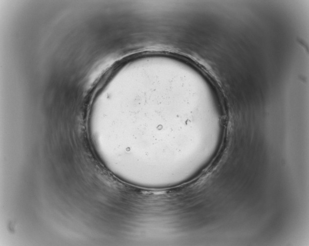 X0000102291263200808151944