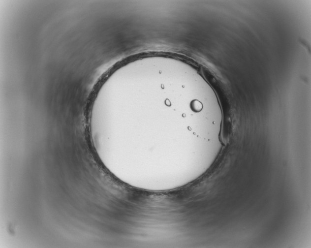 X0000102291264200808151944