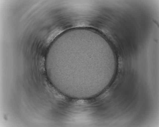 X0000102291265200808151944