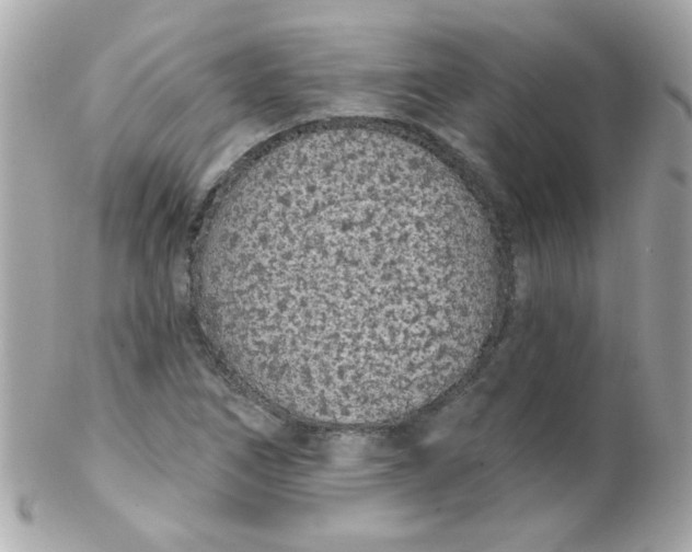 X0000102291266200808151944