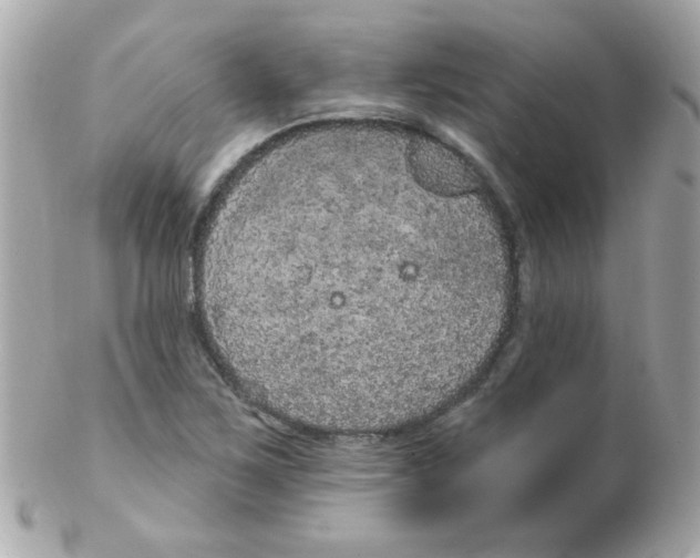 X0000102291267200808151944