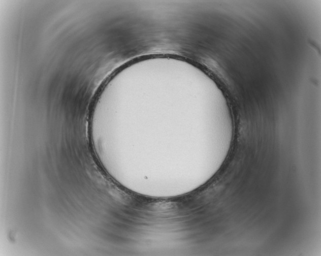 X0000102291268200808151944