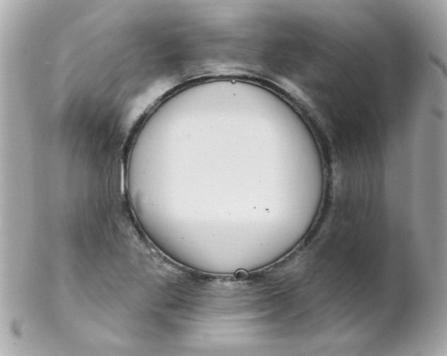 X0000102291269200808151944