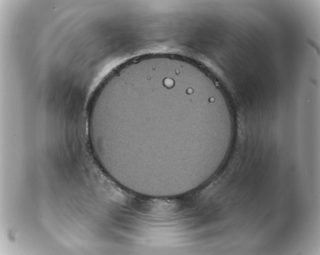 X0000102291270200808151944