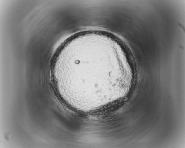 X0000102291271200808151944