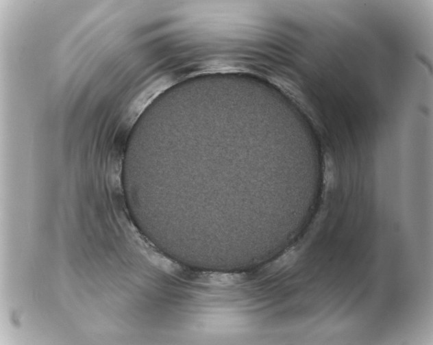 X0000102291273200808151944