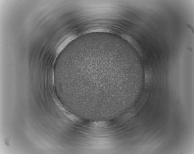 X0000102291274200808151944