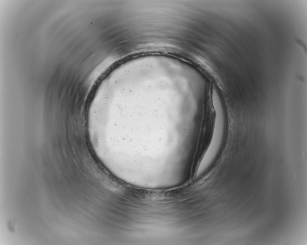 X0000102291275200808151944