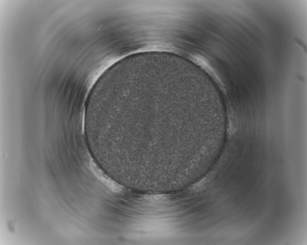 X0000102291276200808151944