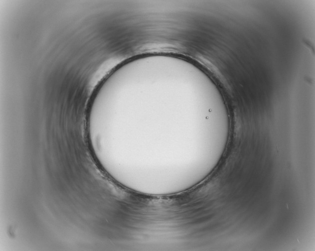 X0000102291277200808151944