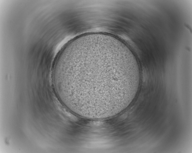 X0000102291278200808151944