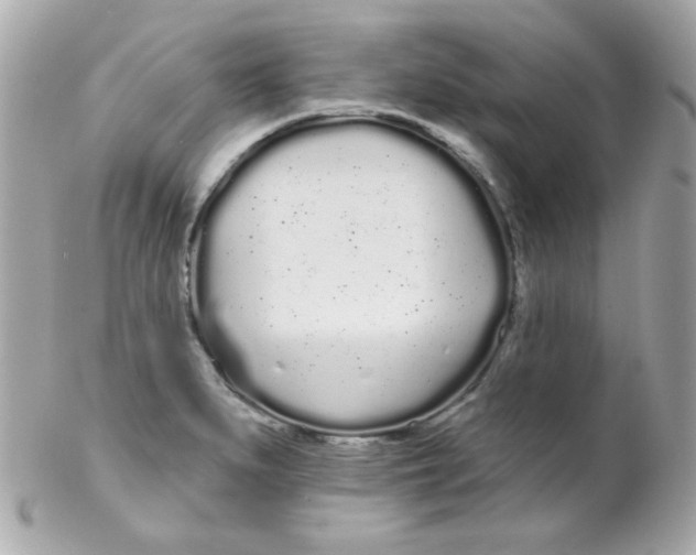 X0000102291279200808151944